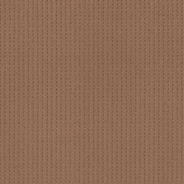 Caress - Soft Symmetry - Carpet Shaw Floors