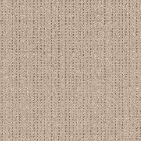 Caress - Soft Symmetry - Carpet Shaw Floors