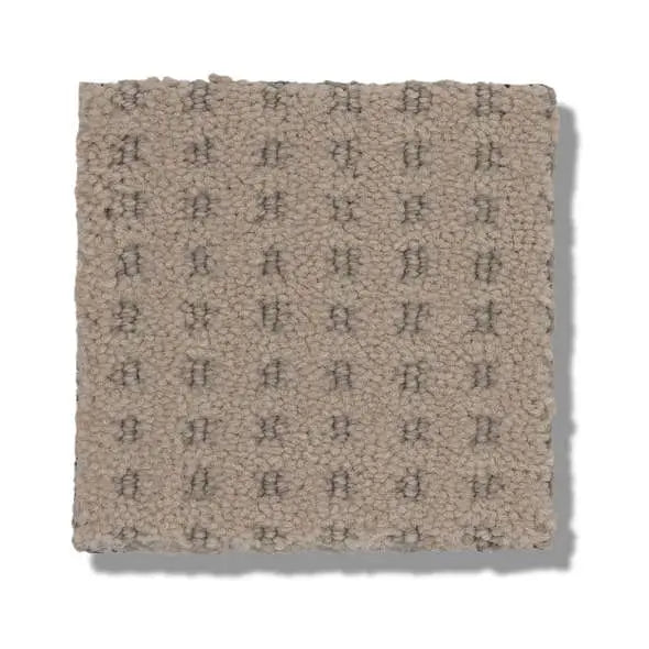 Caress - Soft Symmetry - Carpet Shaw Floors