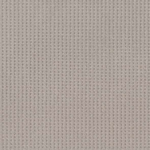 Caress - Soft Symmetry - Carpet Shaw Floors