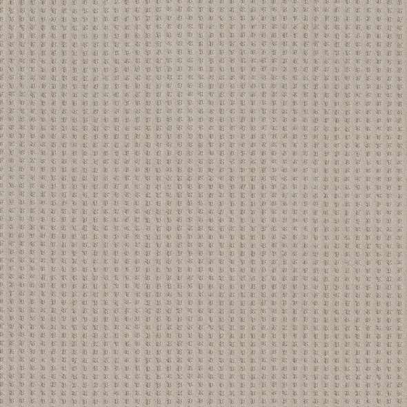 Caress - Soft Symmetry - Carpet Shaw Floors