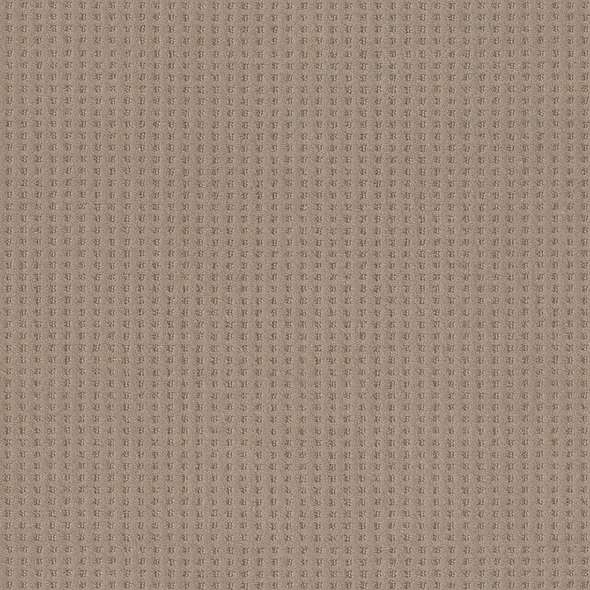 Caress - Soft Symmetry - Carpet Shaw Floors