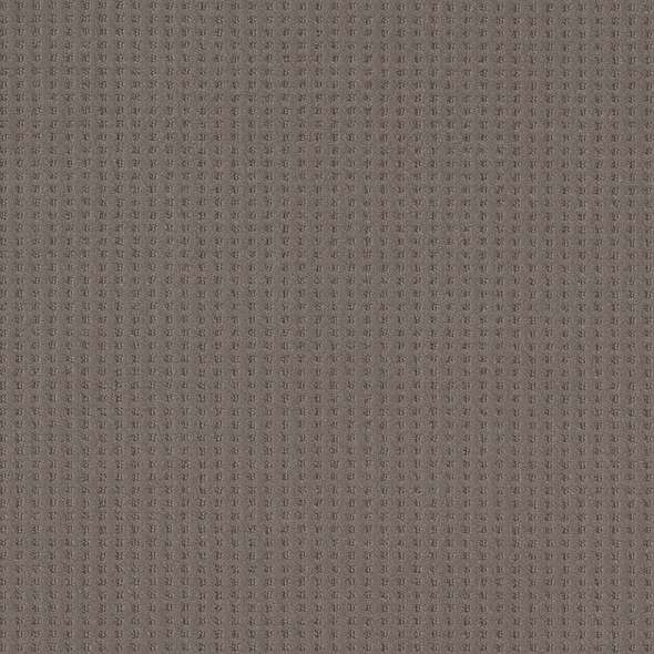 Caress - Soft Symmetry - Carpet Shaw Floors