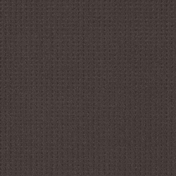 Caress - Soft Symmetry - Carpet Shaw Floors