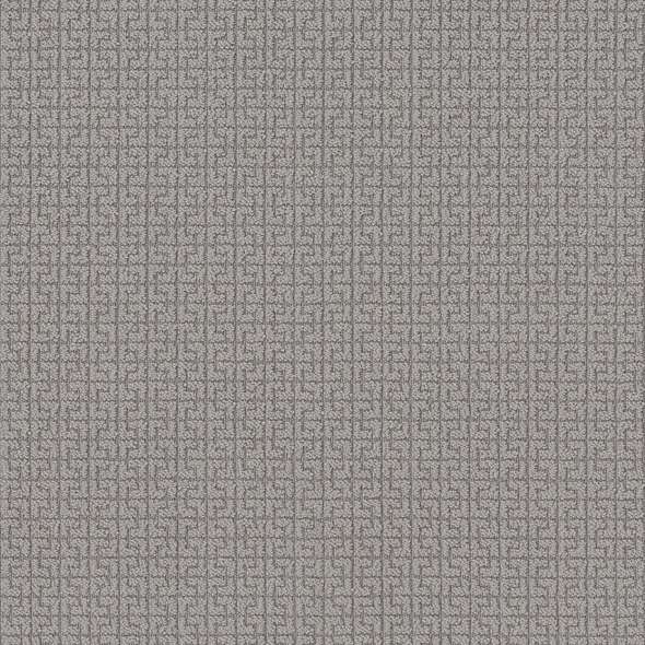 Caress - Serene Key - Carpet Shaw Floors