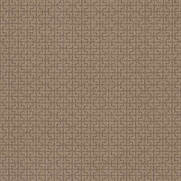 Caress - Serene Key - Carpet Shaw Floors