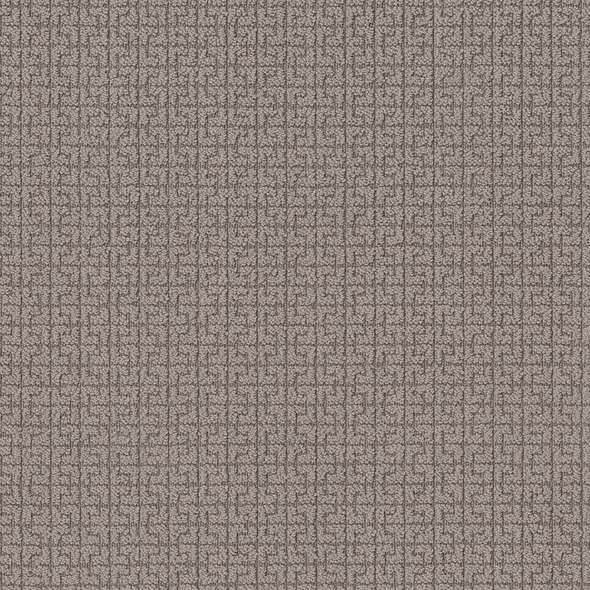 Caress - Serene Key - Carpet Shaw Floors