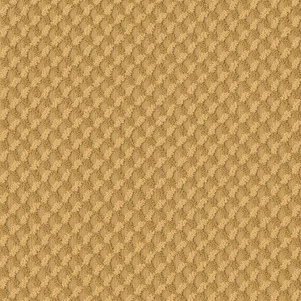 Caress - Inspried Design - Carpet Shaw Floors