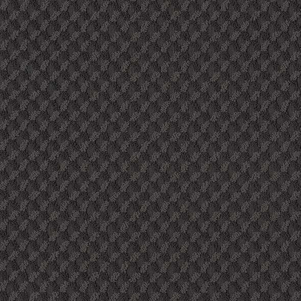 Caress - Inspried Design - Carpet Shaw Floors