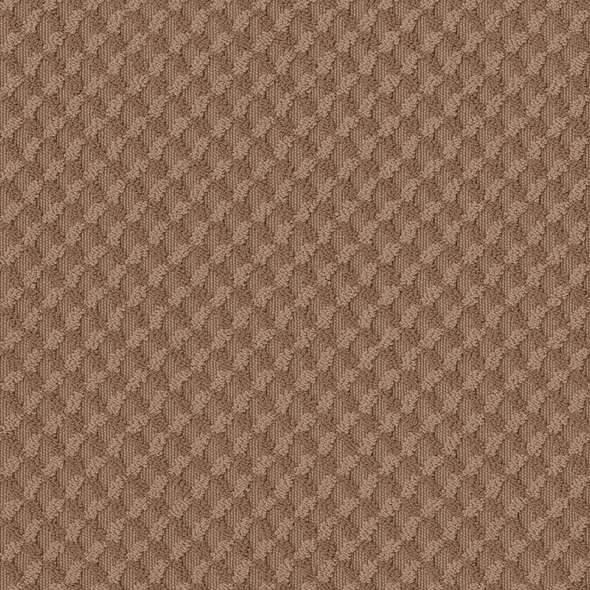 Caress - Inspried Design - Carpet Shaw Floors