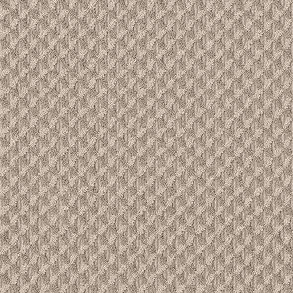 Caress - Inspried Design - Carpet Shaw Floors