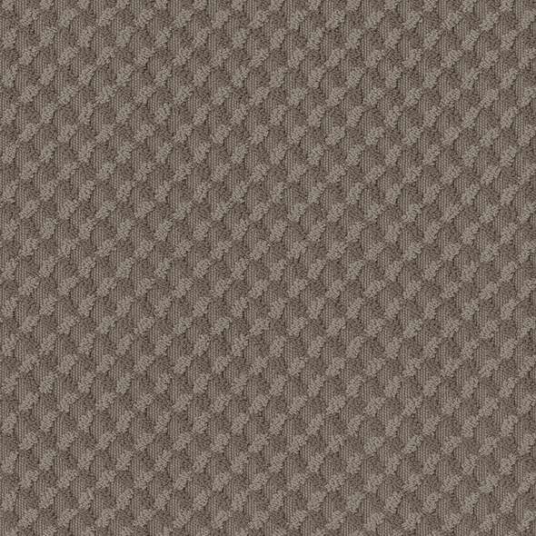 Caress - Inspried Design - Carpet Shaw Floors