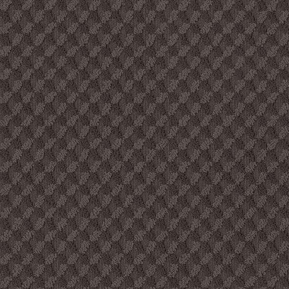 Caress - Inspried Design - Carpet Shaw Floors