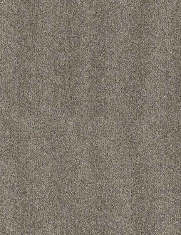 Broadloom - Profusion - Carpet Philadelphia Commercial