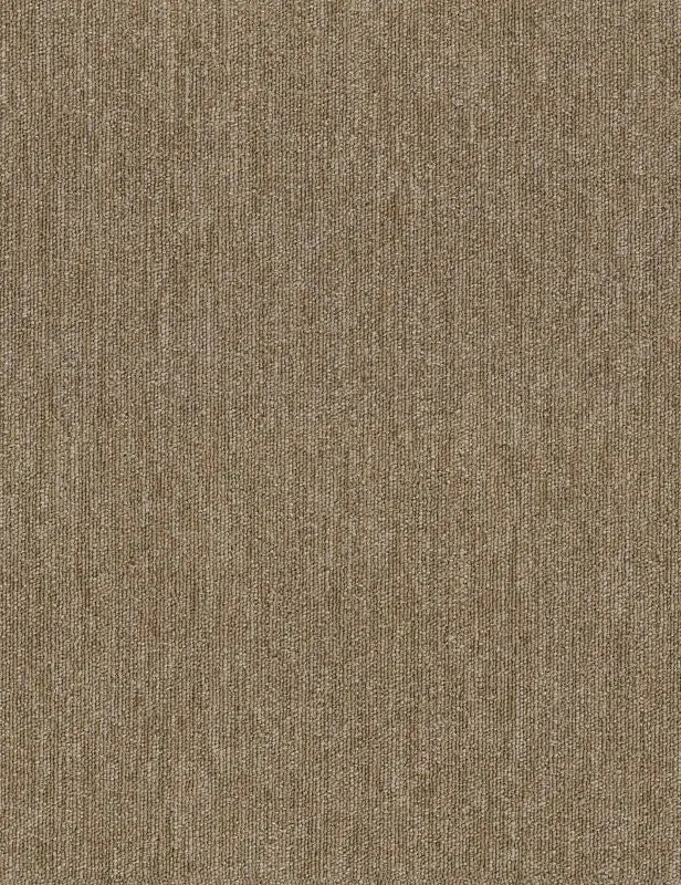 Broadloom - Profusion - Carpet Philadelphia Commercial