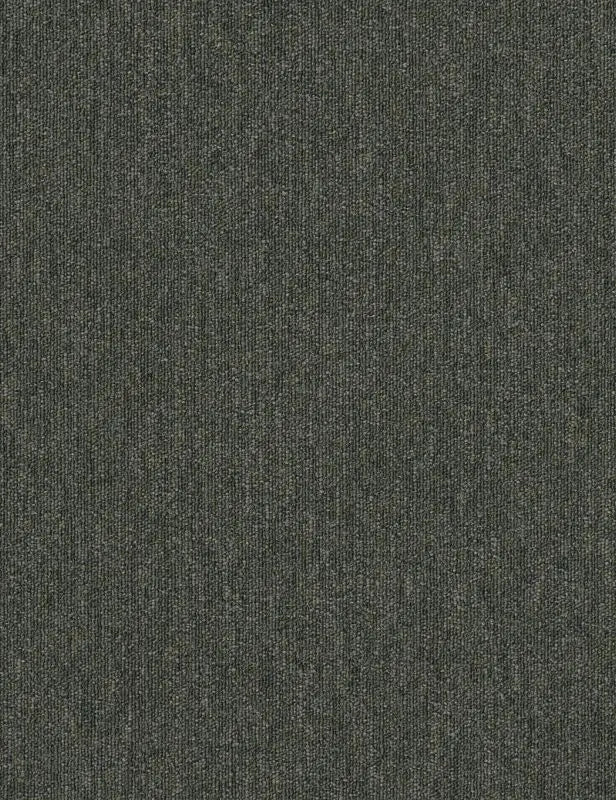 Broadloom - Profusion 20 - Carpet Philadelphia Commercial