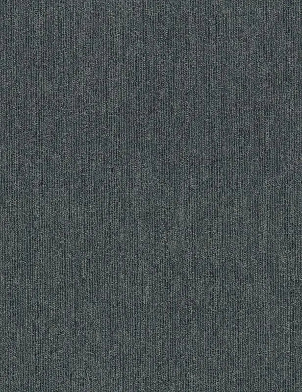 Broadloom - Profusion - Carpet Philadelphia Commercial