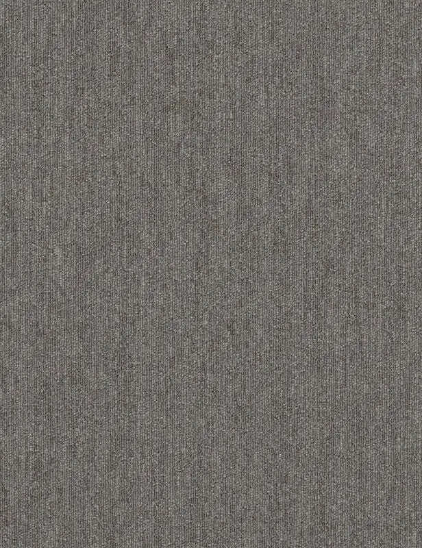 Broadloom - Profusion 20 - Carpet Philadelphia Commercial