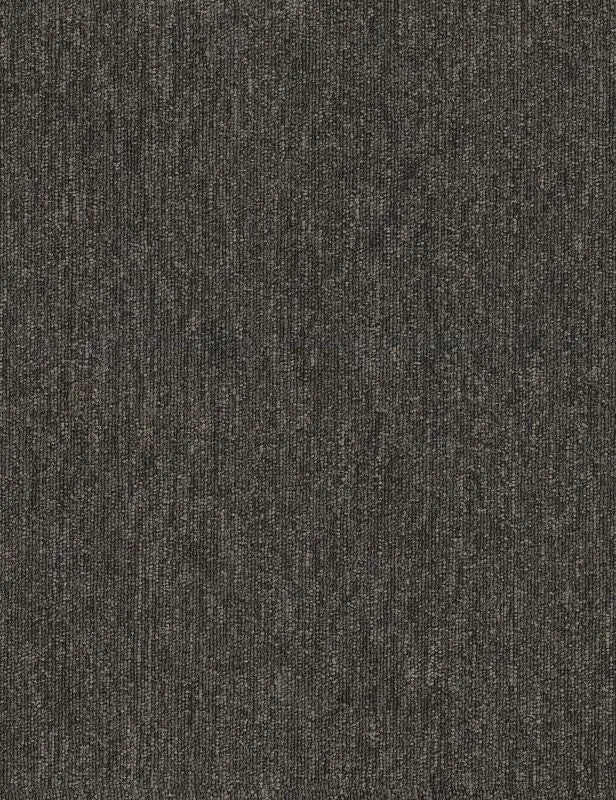 Broadloom - Profusion 20 - Carpet Philadelphia Commercial