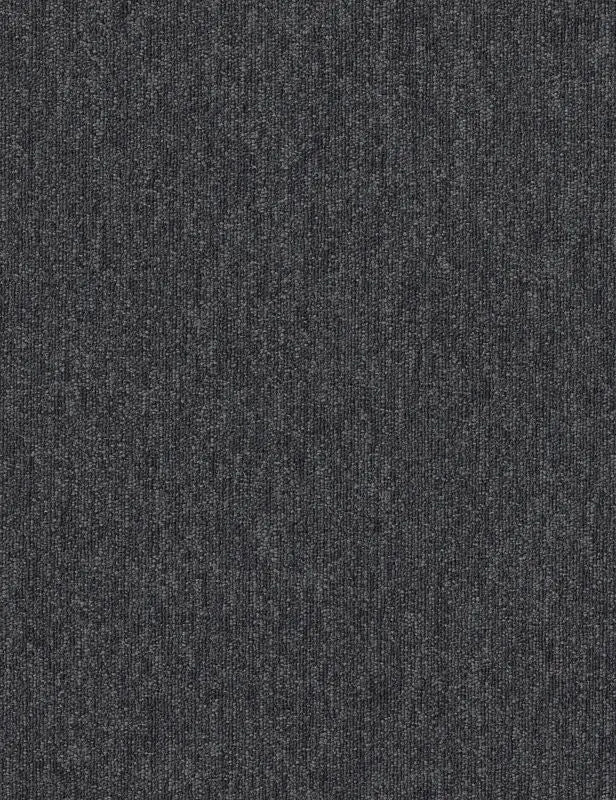 Broadloom - Profusion - Carpet Philadelphia Commercial