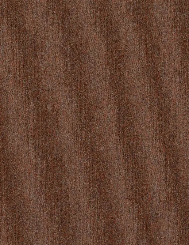 Broadloom - Profusion 20 - Carpet Philadelphia Commercial