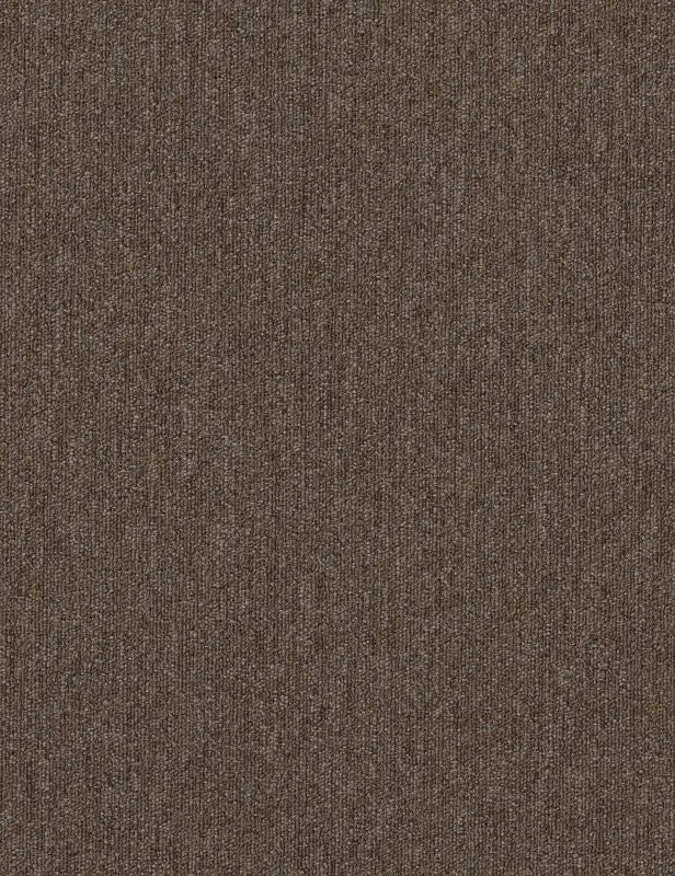 Broadloom - Profusion - Carpet Philadelphia Commercial