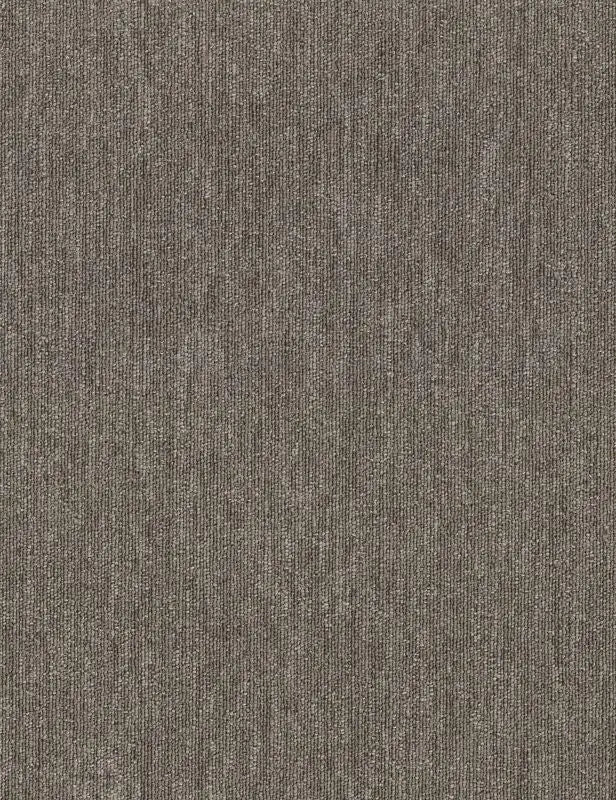 Broadloom - Profusion - Carpet Philadelphia Commercial