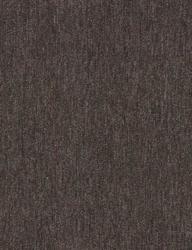 Broadloom - Profusion - Carpet Philadelphia Commercial