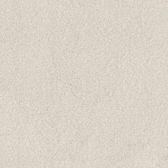 Caress - Cozy Harbor I - Carpet Shaw Floors