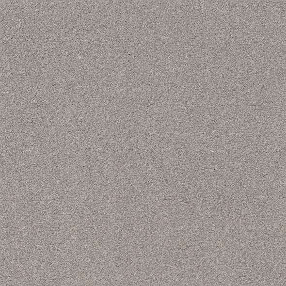 Caress - Cozy Harbor I - Carpet Shaw Floors