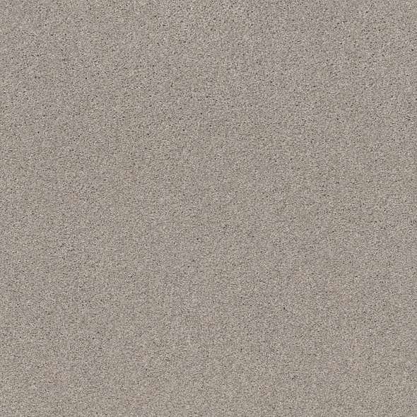 Caress - Cozy Harbor I - Carpet Shaw Floors