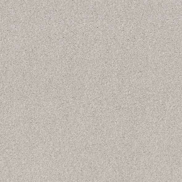 Caress - Cozy Harbor I - Carpet Shaw Floors