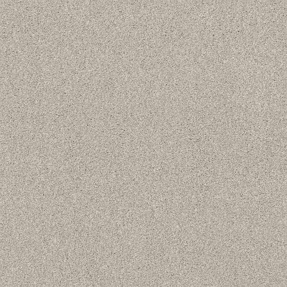 Caress - Cozy Harbor I - Carpet Shaw Floors