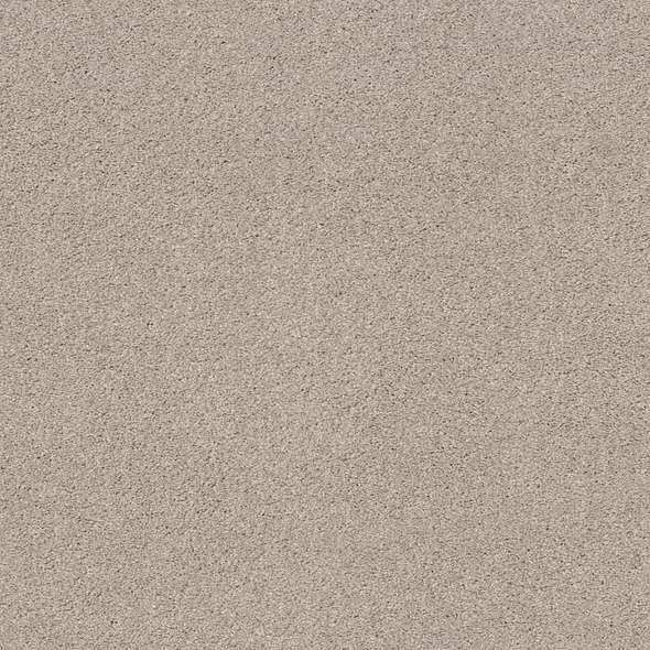 Caress - Cozy Harbor I - Carpet Shaw Floors