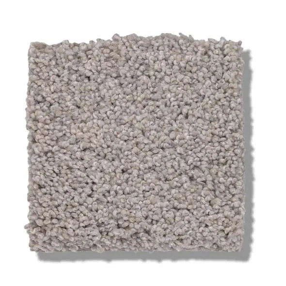 Caress - Cozy Harbor II - Carpet Shaw Floors