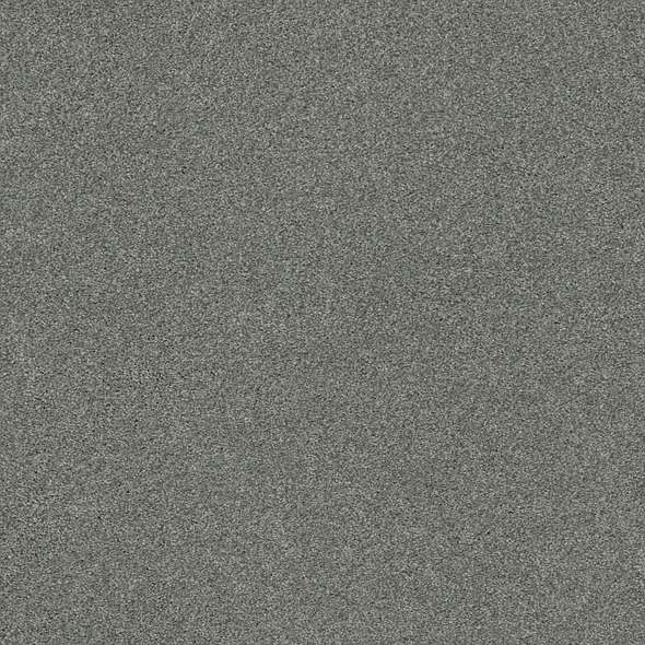 Caress - Cozy Harbor I - Carpet Shaw Floors