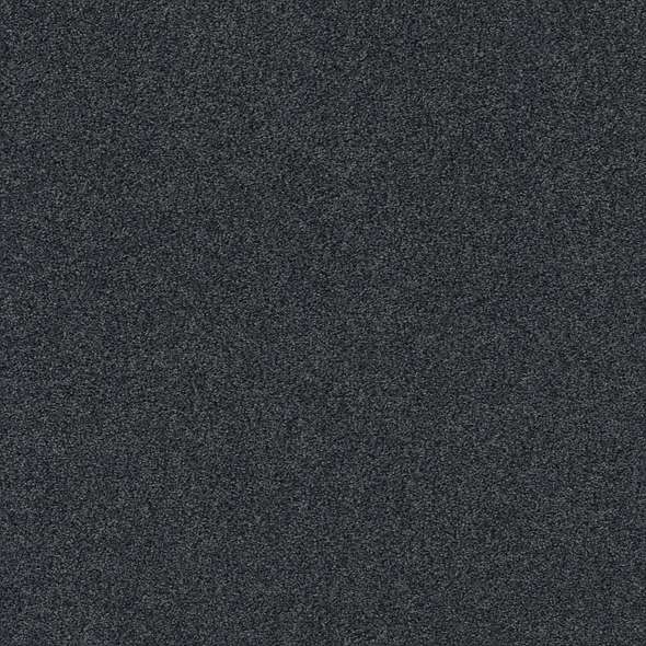 Caress - Cozy Harbor I - Carpet Shaw Floors