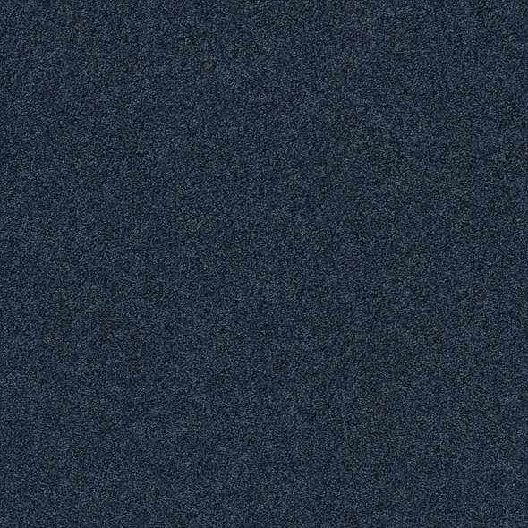 Caress - Cozy Harbor I - Carpet Shaw Floors