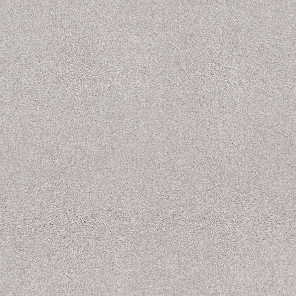 Caress - Cozy Harbor II - Carpet Shaw Floors