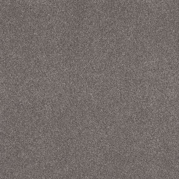 Caress - Cozy Harbor II - Carpet Shaw Floors