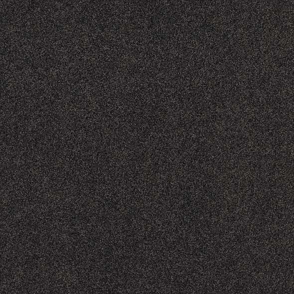 Caress - Cozy Harbor I - Carpet Shaw Floors