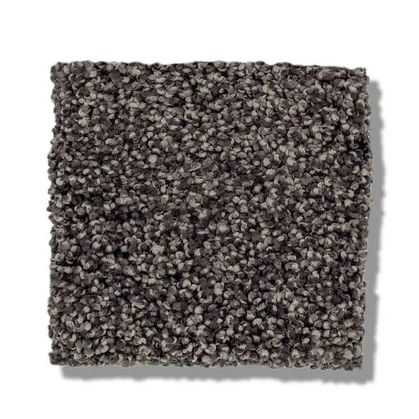 Caress - Cozy Harbor I - Carpet Shaw Floors