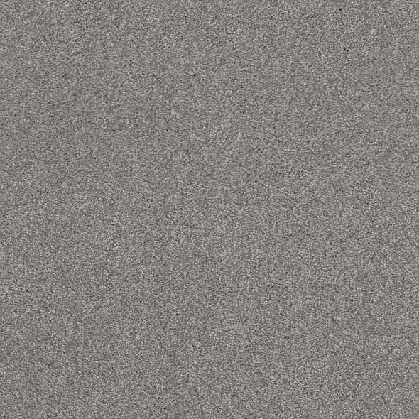 Caress - Cozy Harbor II - Carpet Shaw Floors