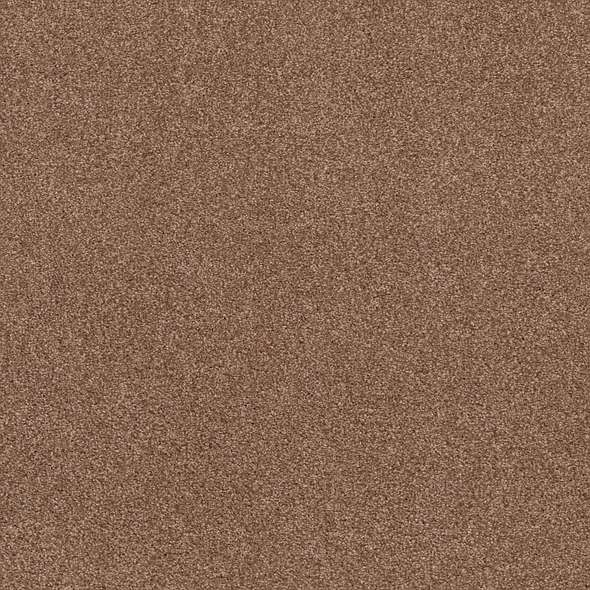 Caress - Cozy Harbor II - Carpet Shaw Floors