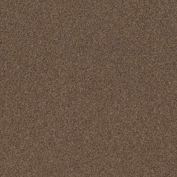 Caress - Cozy Harbor I - Carpet Shaw Floors