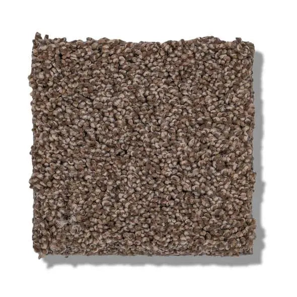 Caress - Cozy Harbor I - Carpet Shaw Floors