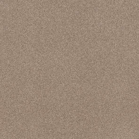 Caress - Cozy Harbor I - Carpet Shaw Floors