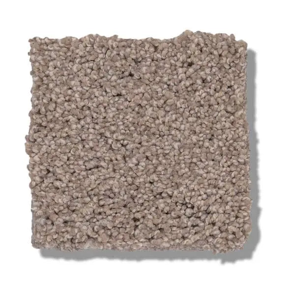 Caress - Cozy Harbor I - Carpet Shaw Floors