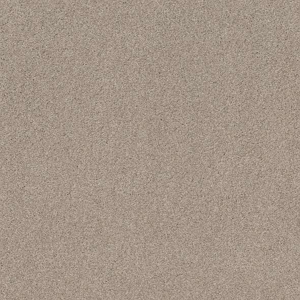 Caress - Cozy Harbor I - Carpet Shaw Floors