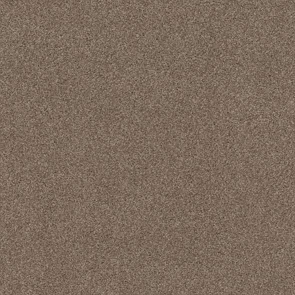 Caress - Cozy Harbor I - Carpet Shaw Floors